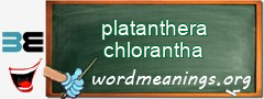 WordMeaning blackboard for platanthera chlorantha